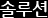 솔루션